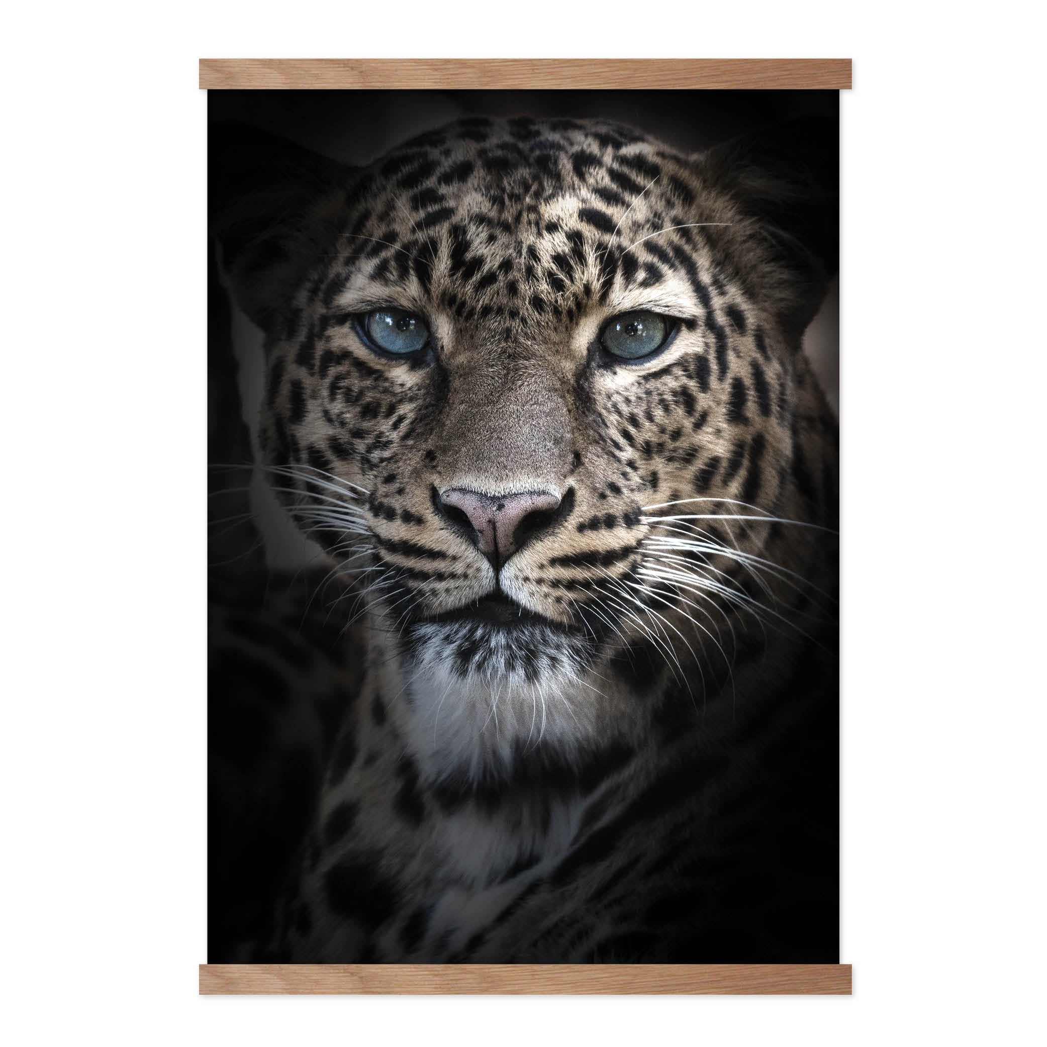 Blæse Landsdækkende shampoo Dark Leopard - foto plakat – Homedec.dk